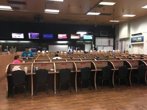 Sportsbook Sportsbook